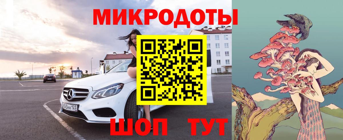 Псилоцибиновые грибы Psilocybe Донской