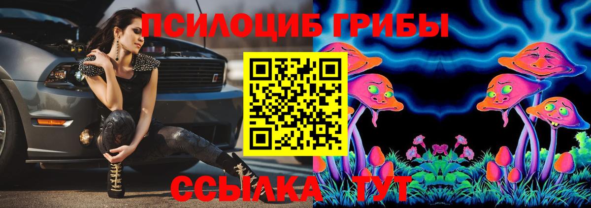 Донской  Галлюциногенные грибы ЛСД  Вход с VPN 