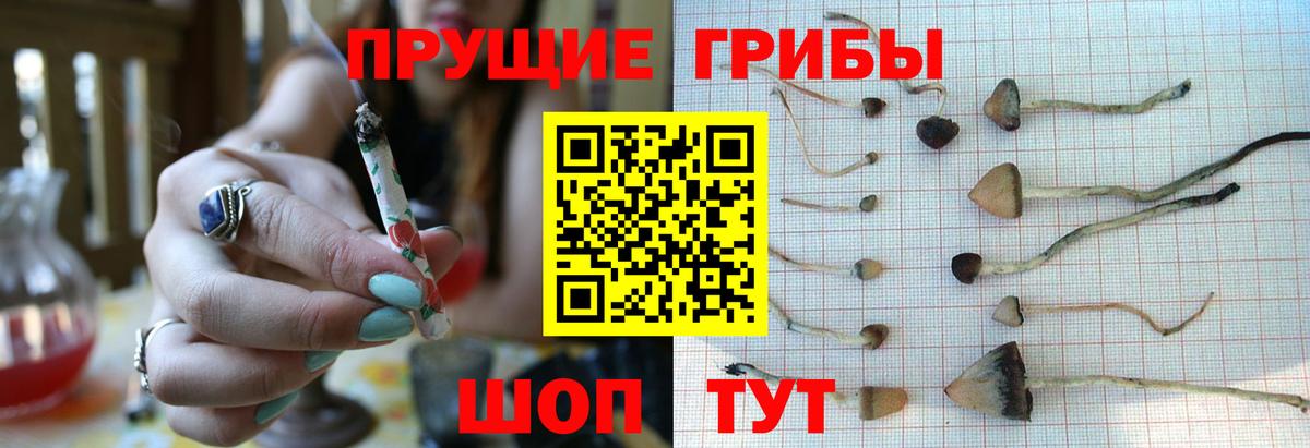 Амфетамин Донской